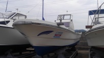 YDX-27