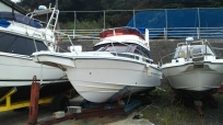 GS-800
