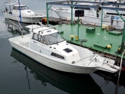 YDX-30