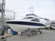 SC-30eX