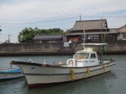DX-36