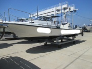 BayFisher25