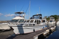 PEDRO SKIRON 35