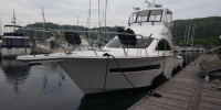 EXULT38