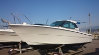 WINGFISHER-27