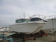 NSC245