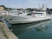 DY-50B