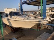 SUNFISHER-730
