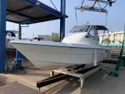 FW-23Cuddy