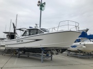 DFR-33
