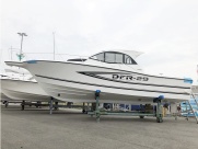 DFR-29