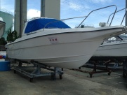 SUNFISHER-780