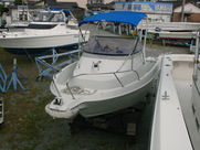 FX19