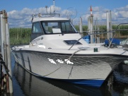 UF-26