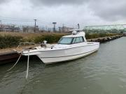 SUNFISHER-33