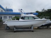 ポーナム28GII