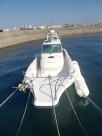 EX29