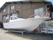 EX29