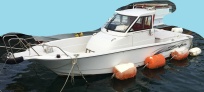 LF23ZII