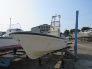 W-19