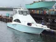 Y-530コンバーチブル