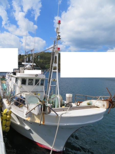 その他メーカー(国内) 漁船 ＮＯ，３０１０３１漁船・漁探索船（１６．８８ｔ）共立レジクラフトー５２尺　２級