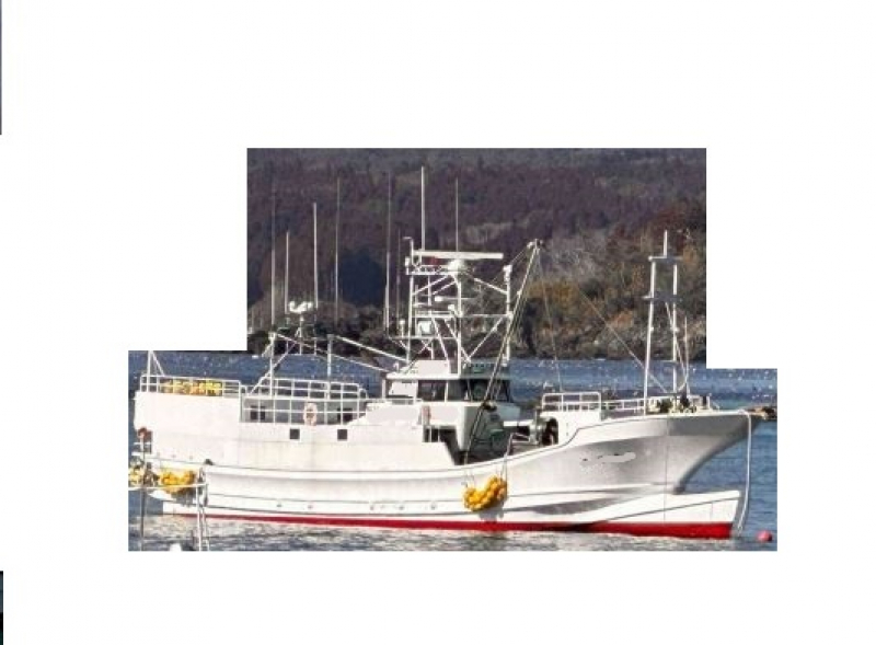 その他メーカー(国内) 漁船 NO,060210　刺し網船　敷網船　個人造船（9．7t）－60尺　2級