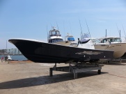 BF-23