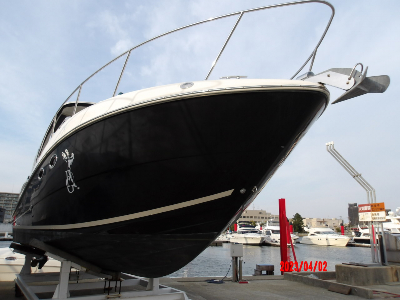 シーレイ 290 DA