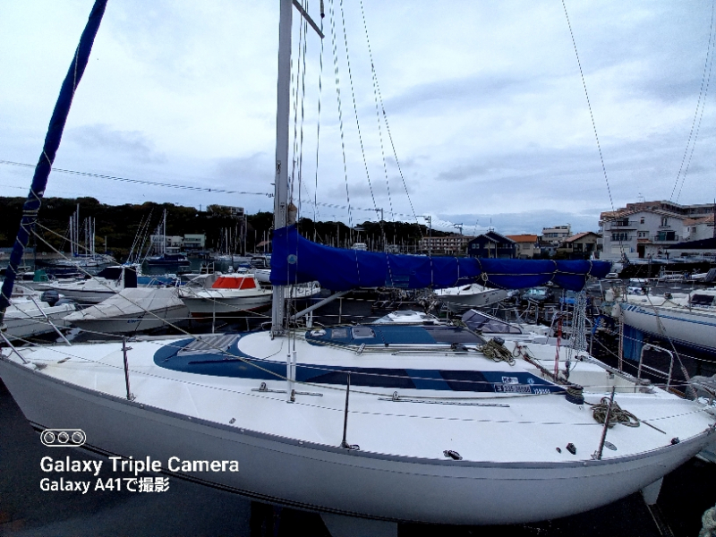 ヤマハ 31S 
