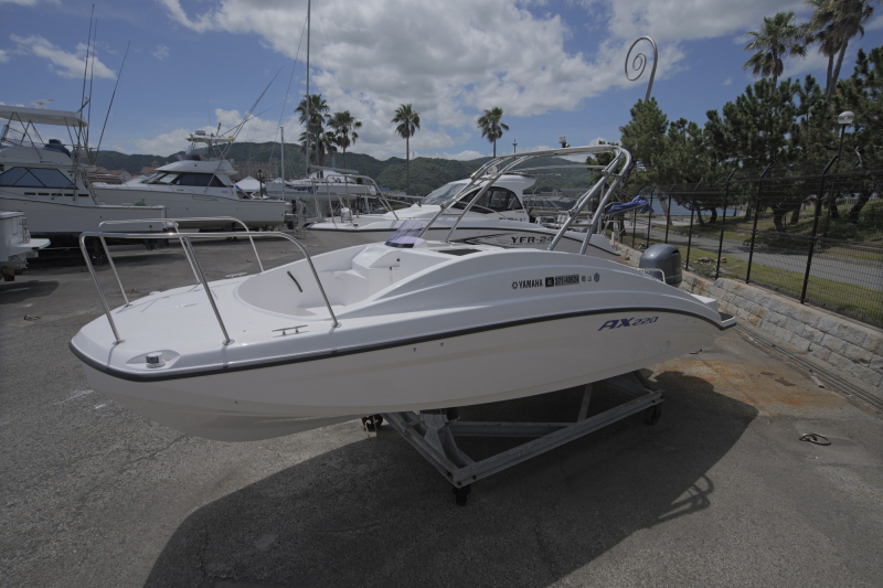 ヤマハ AX220 WT