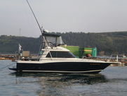 SF-31