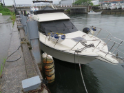 SC-38