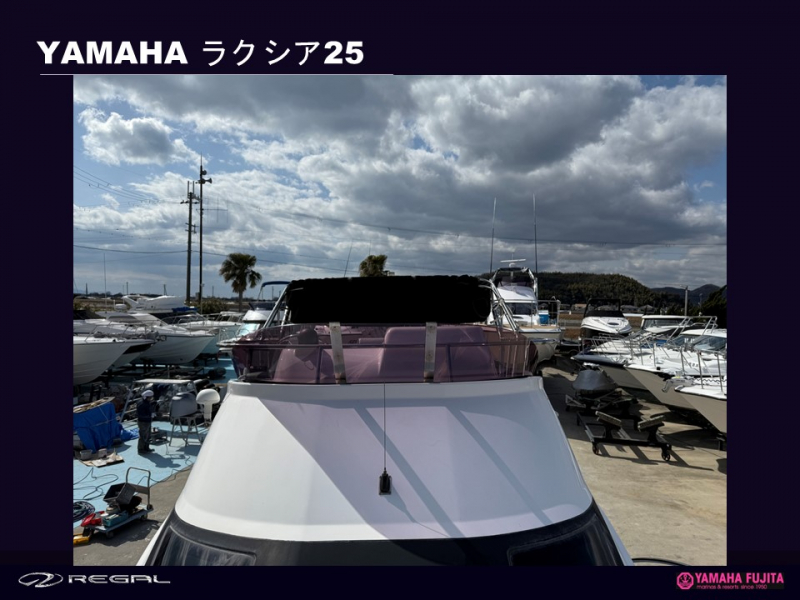 黑宮花崎さん専用 宮脇賣扇庵: 竜馬扇｜ SHIPS 公式サイト