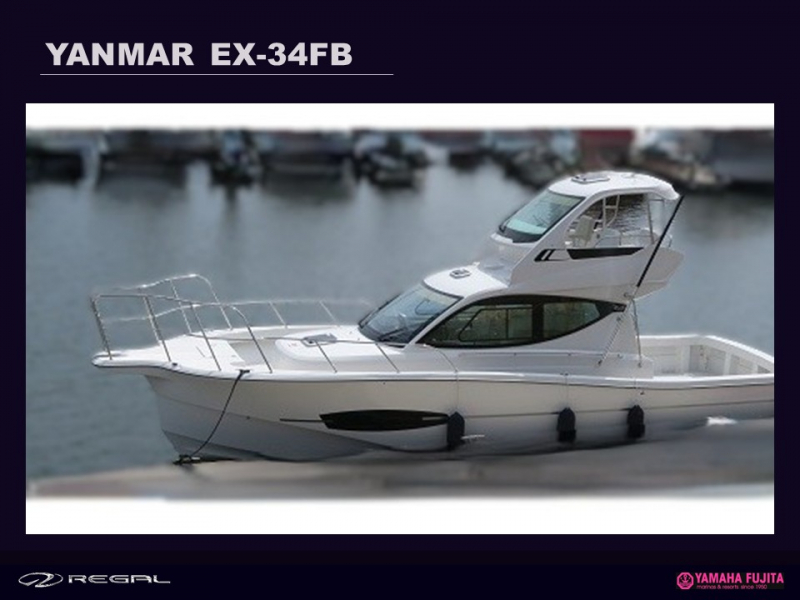 ヤンマー EX34FB