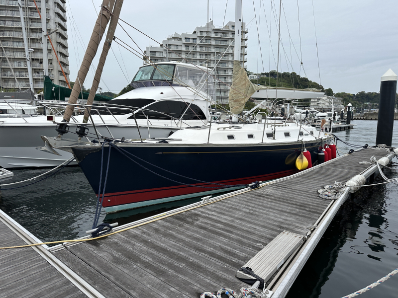 タータン 4300