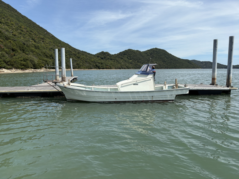 ヤンマー DE26 