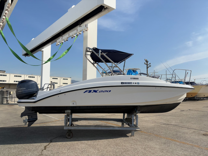 ヤマハ AX220
