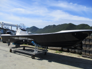 BayFisher25