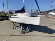 ZEN24