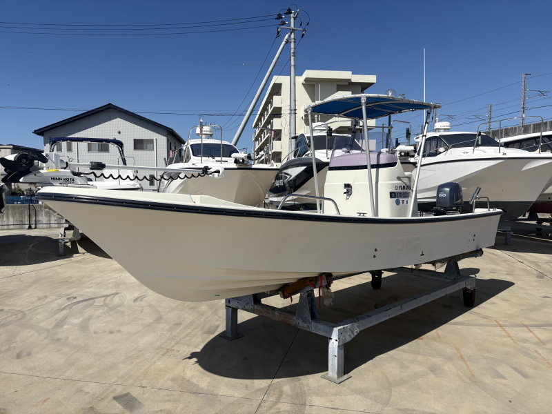 ヤマハ FW-20LTD 