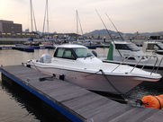 WINGFISHER-23EXII