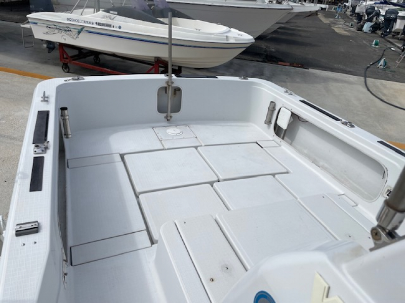 ヤンマー EX26B ディーゼルシャフト船マルチスキャン付 中古艇