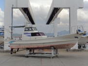 DY-29