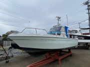 FX24