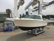 SUNCRUISE-800