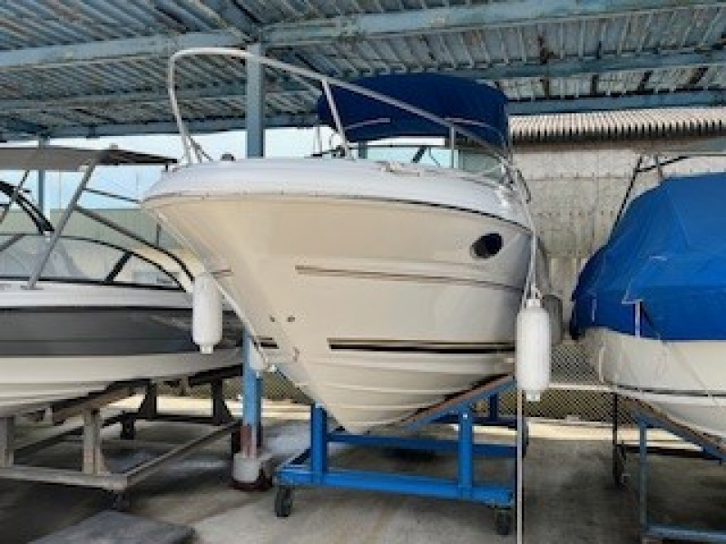 シーレイ 245