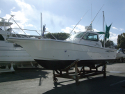 EX29