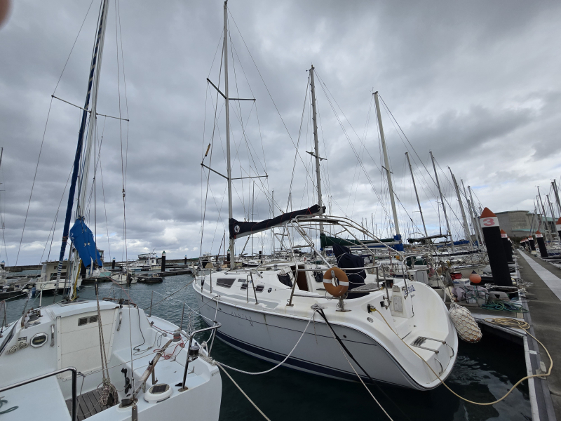HUNTER 31 