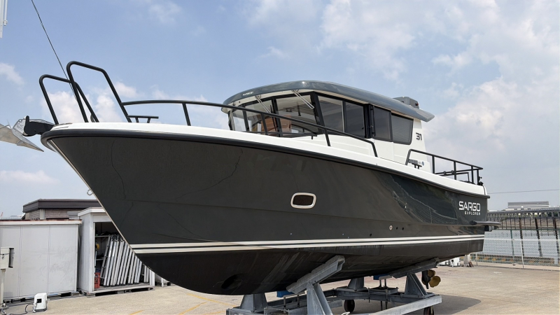 SARGO 31